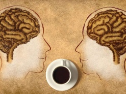 Как кофе влияет на ЦНС. Кофейные новости интернет-магазина COFFEE STATE