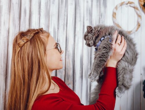 Как избавиться от шерсти кошки на одежде
